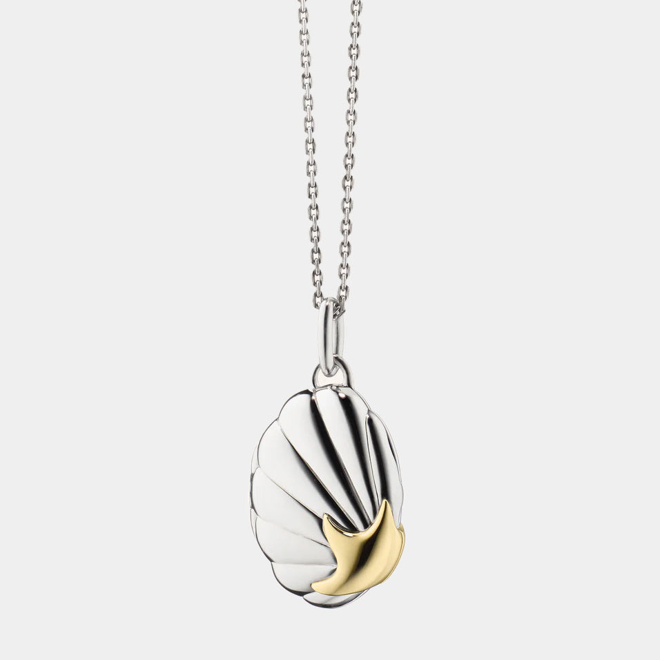 two tone shell locket necklace