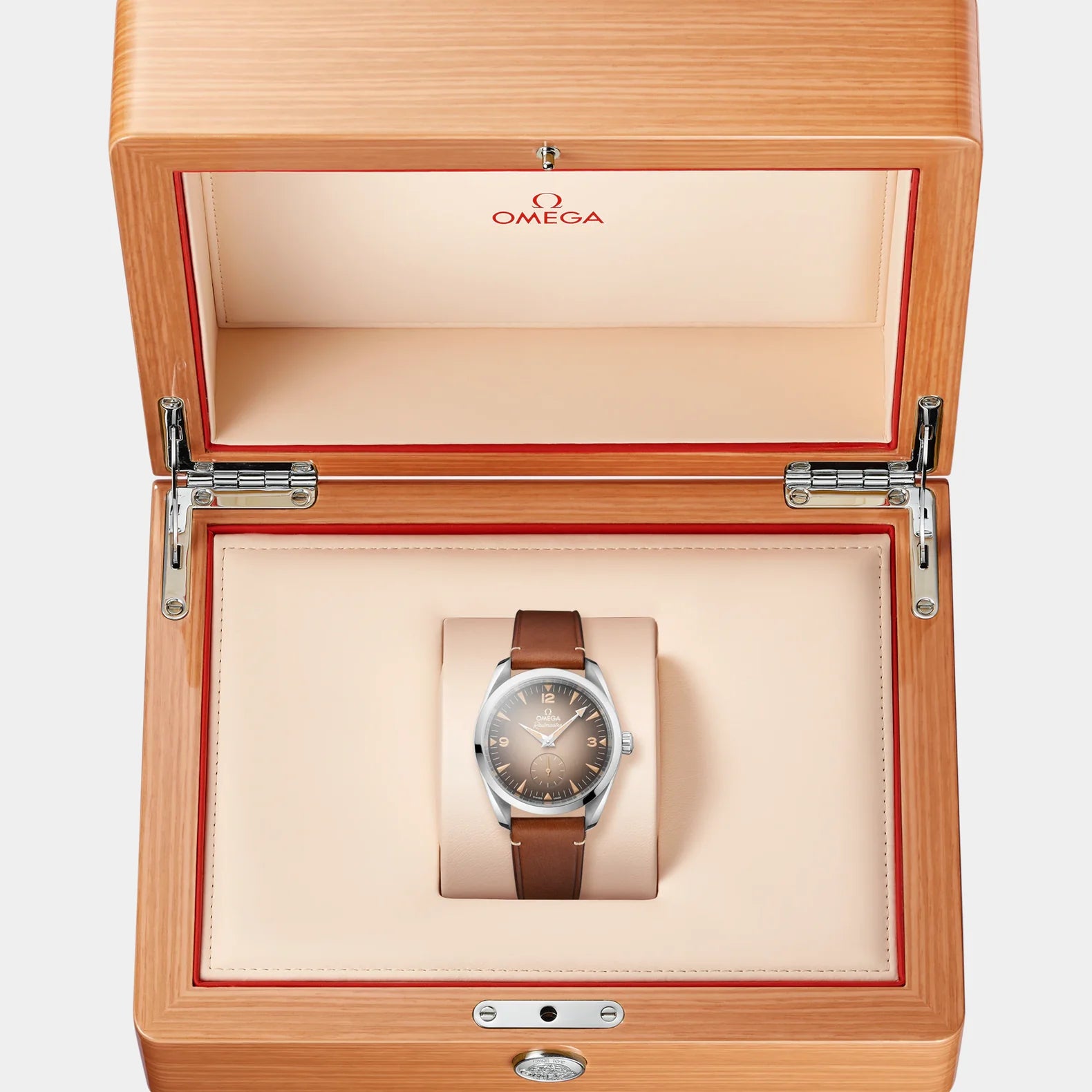 Seamaster Railmaster 38mm - Brown Gradient Dial on Leather Strap