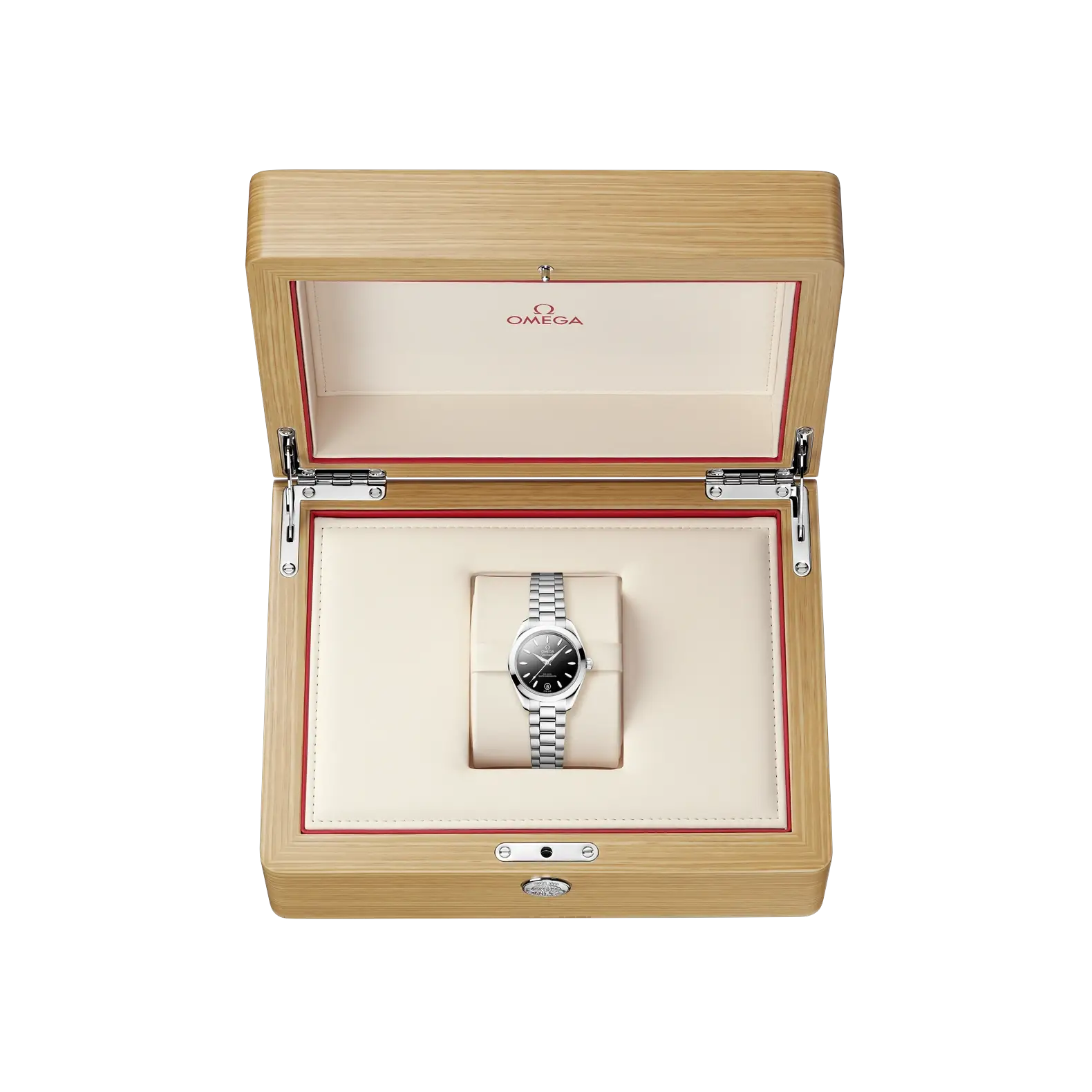 Seamaster Aqua Terra 30mm - Black Dial on Bracelet