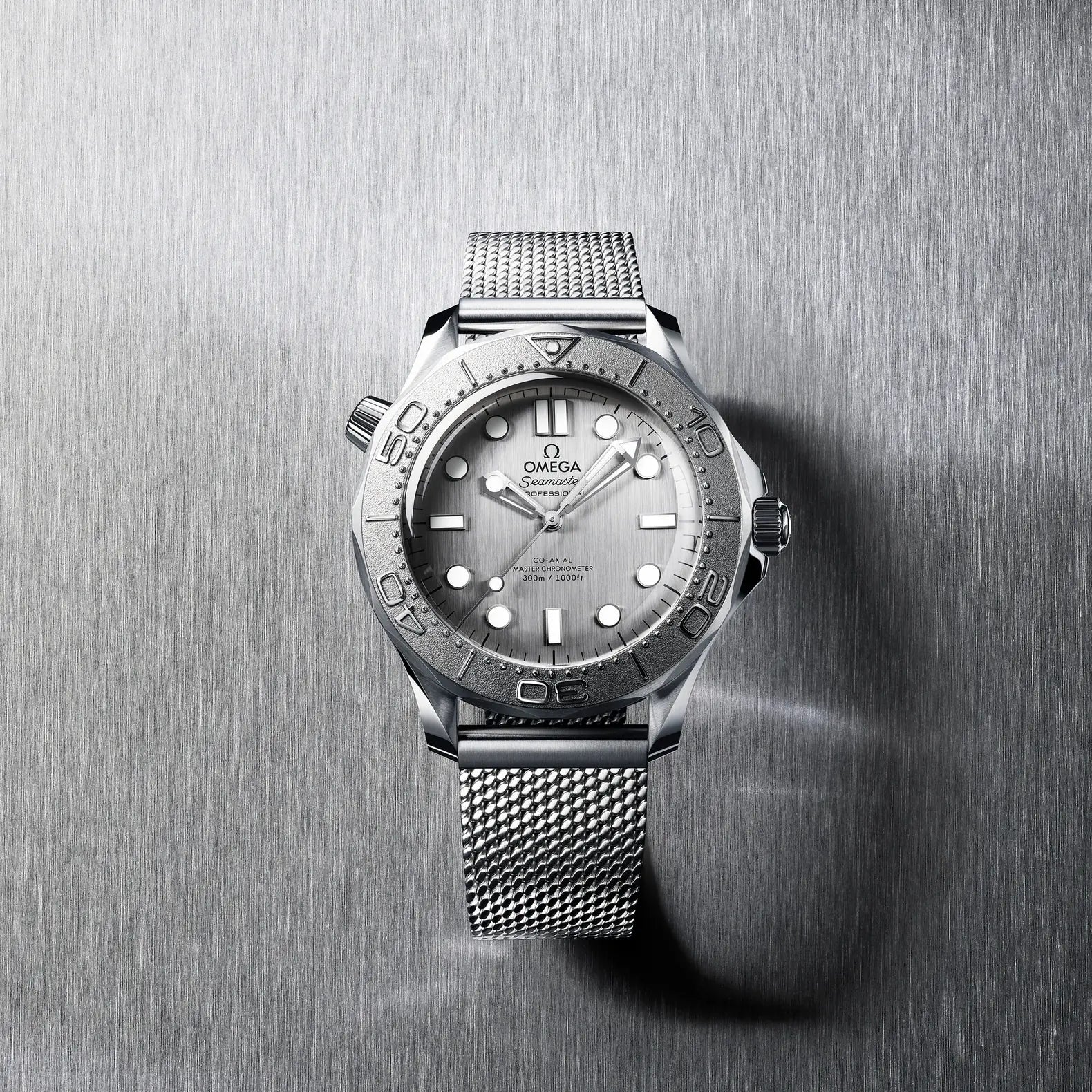 Seamaster Diver 300M - Titanium Bezel Silver Dial on Mesh Bracelet