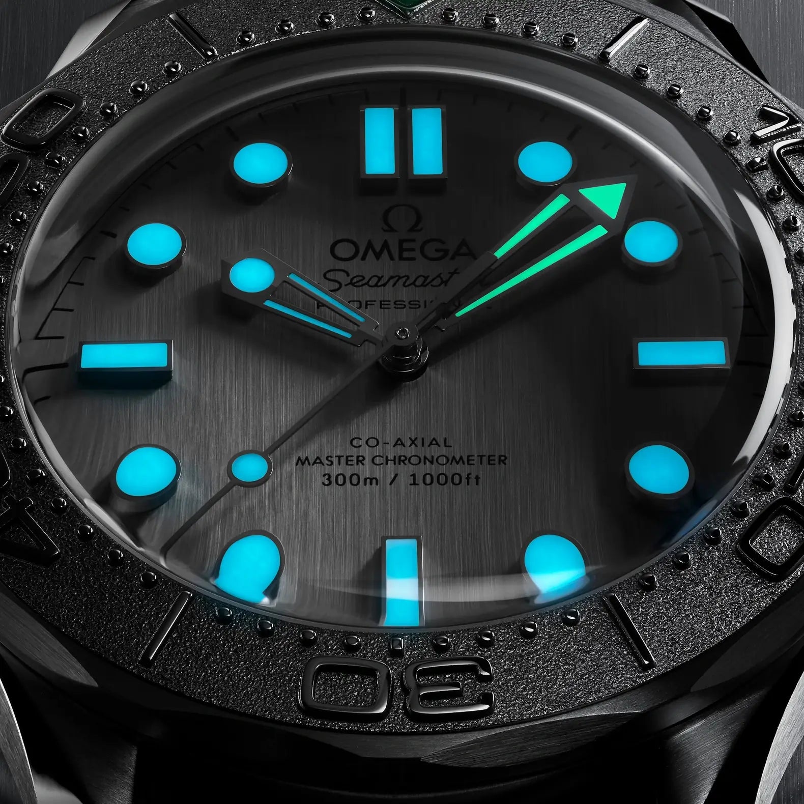 Seamaster Diver 300M - Titanium Bezel Silver Dial on Rubber Strap