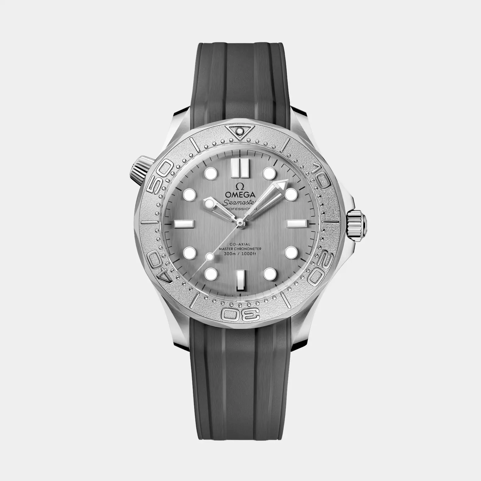 Seamaster Diver 300M - Titanium Bezel Silver Dial on Rubber Strap