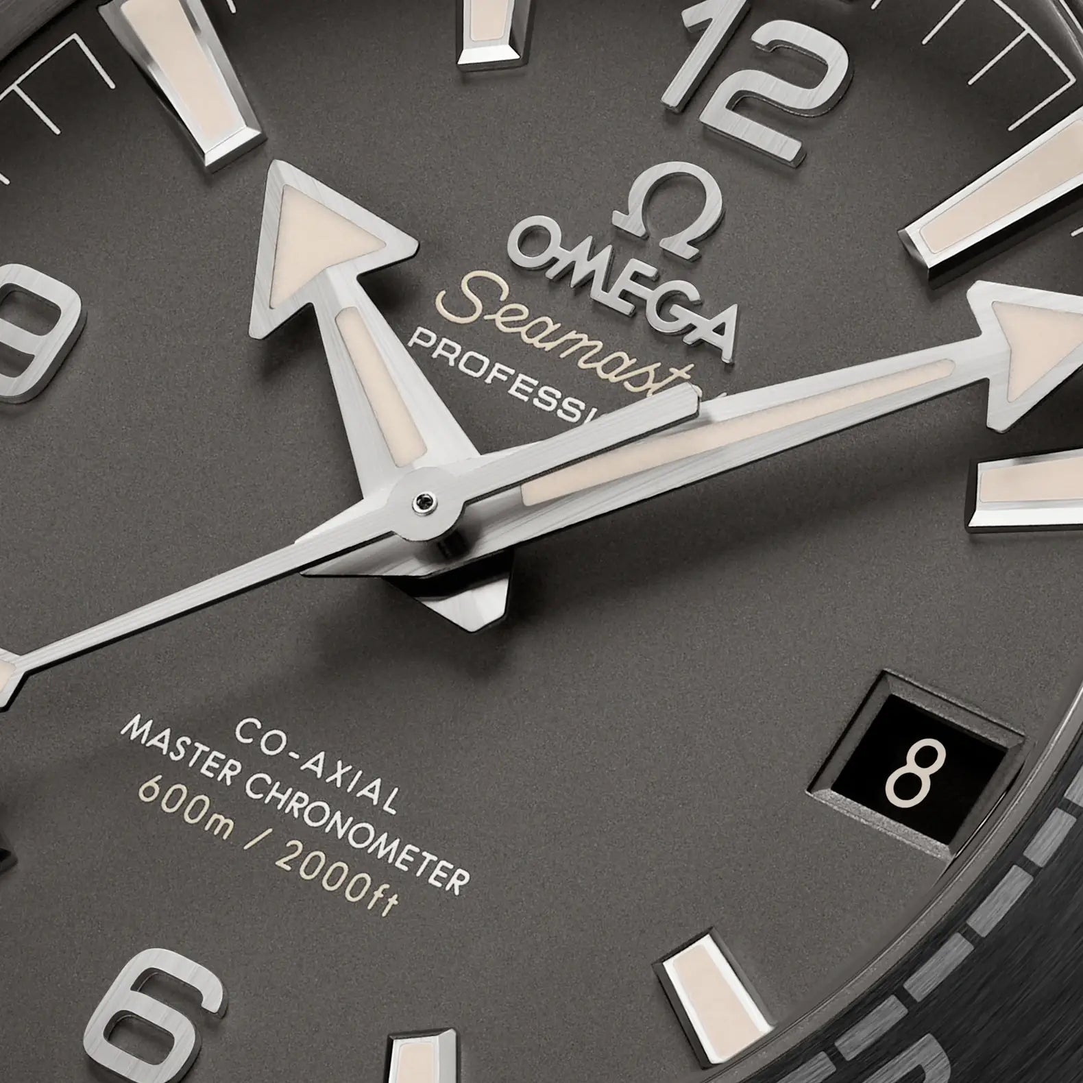 Seamaster Planet Ocean 43.5mm - Grey Dial on Rubber Strap