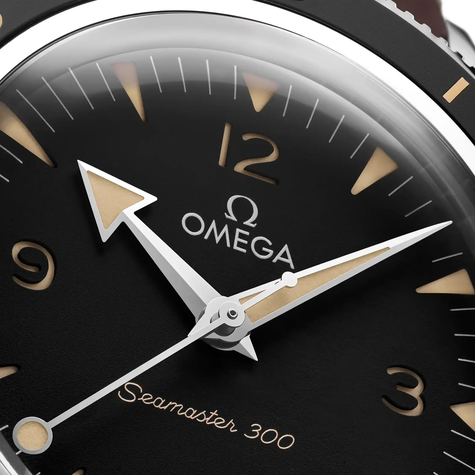 Seamaster 300 41mm - Black Dial on Strap