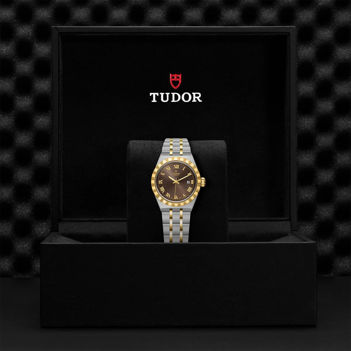 TUDOR Royal Two-Tone 28mm - Brown Dial