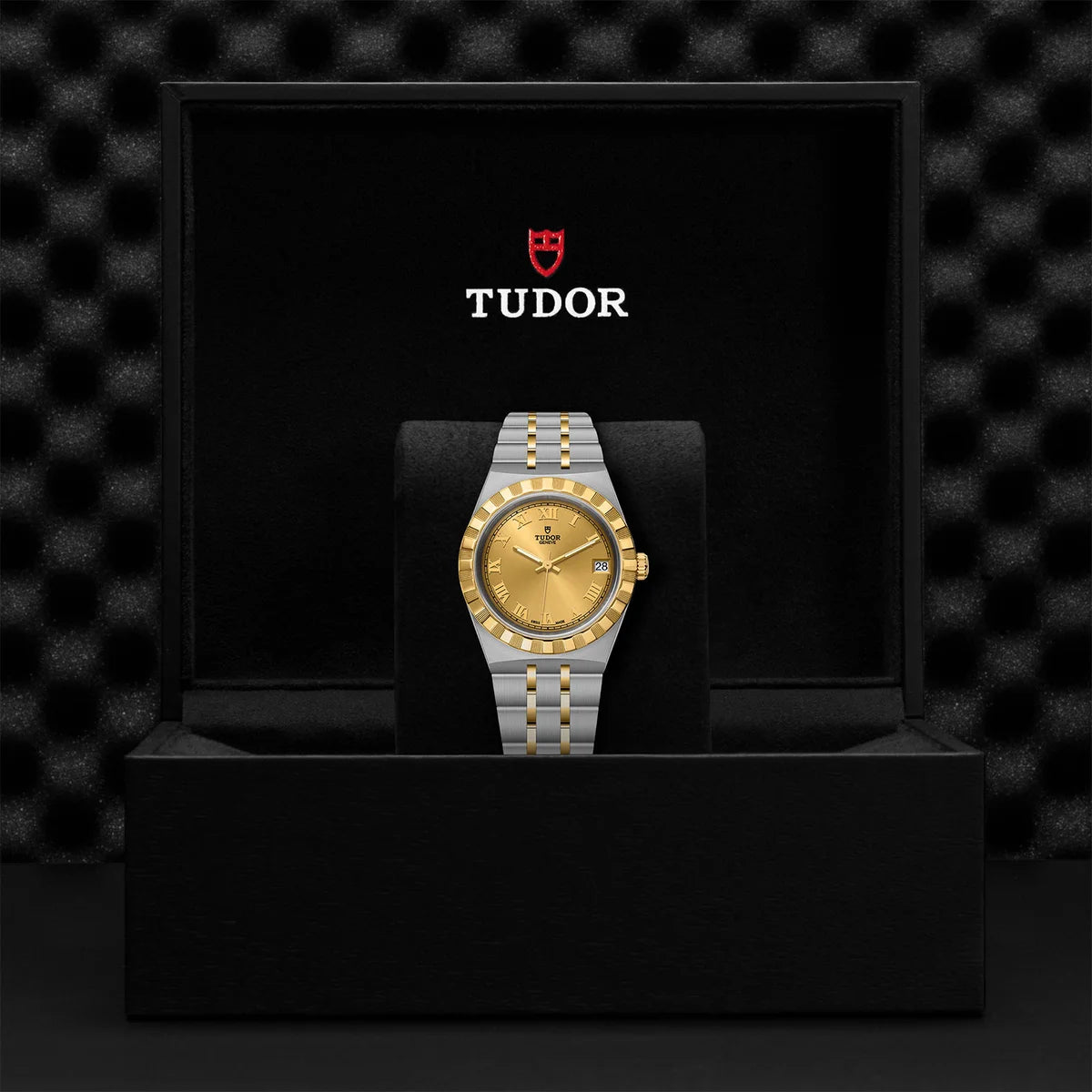TUDOR Royal Two-Tone 34mm - Gold Dial