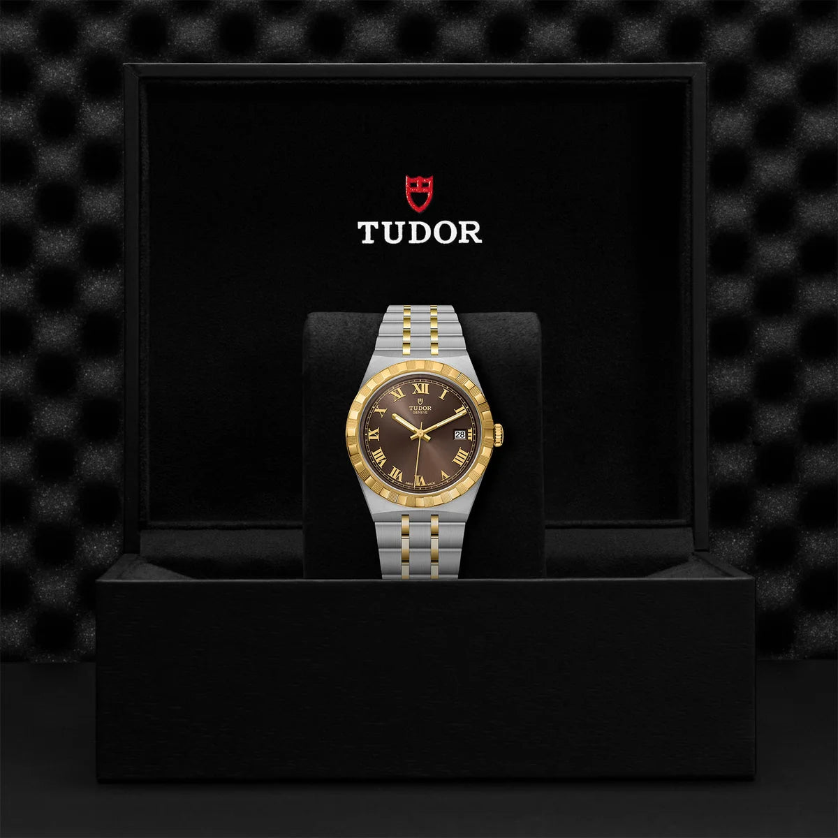 TUDOR Royal Two-Tone 38mm - Brown Dial