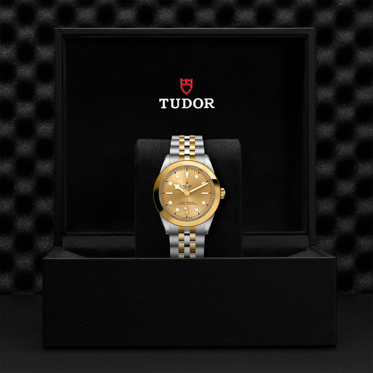 TUDOR black bay one s&g 39mm gold dial watch on 5-link bracelet, presented inside the official Tudor presentation box.