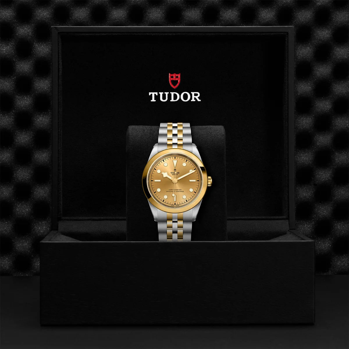 TUDOR black bay one s&g 41mm gold dial watch on 5-link bracelet, presented inside the official Tudor presentation box.