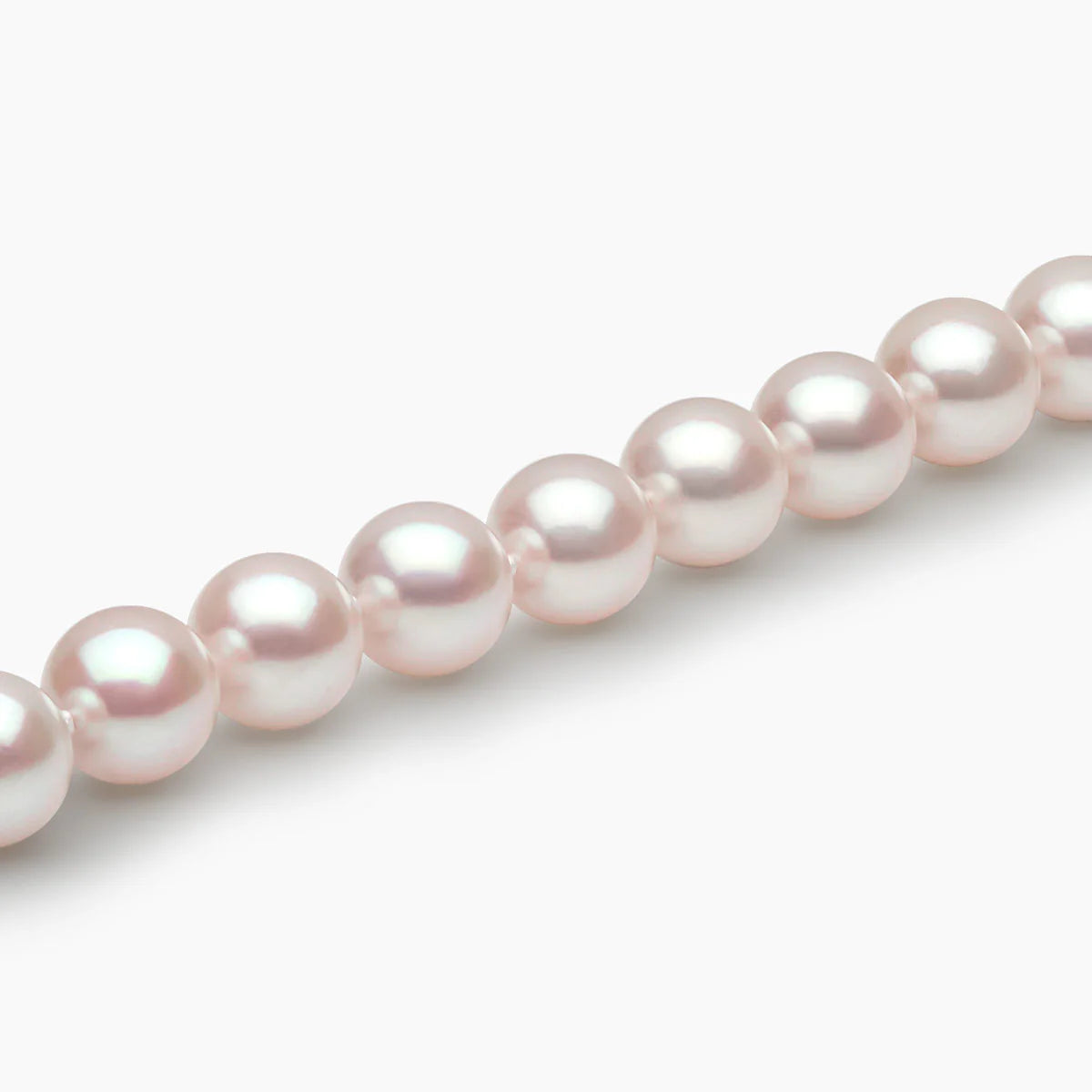 Row of pearls on a white background