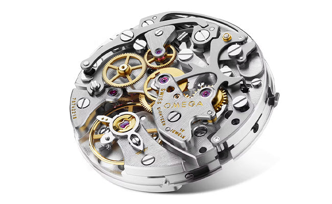 Watch Anatomy: 12 Terms to Know