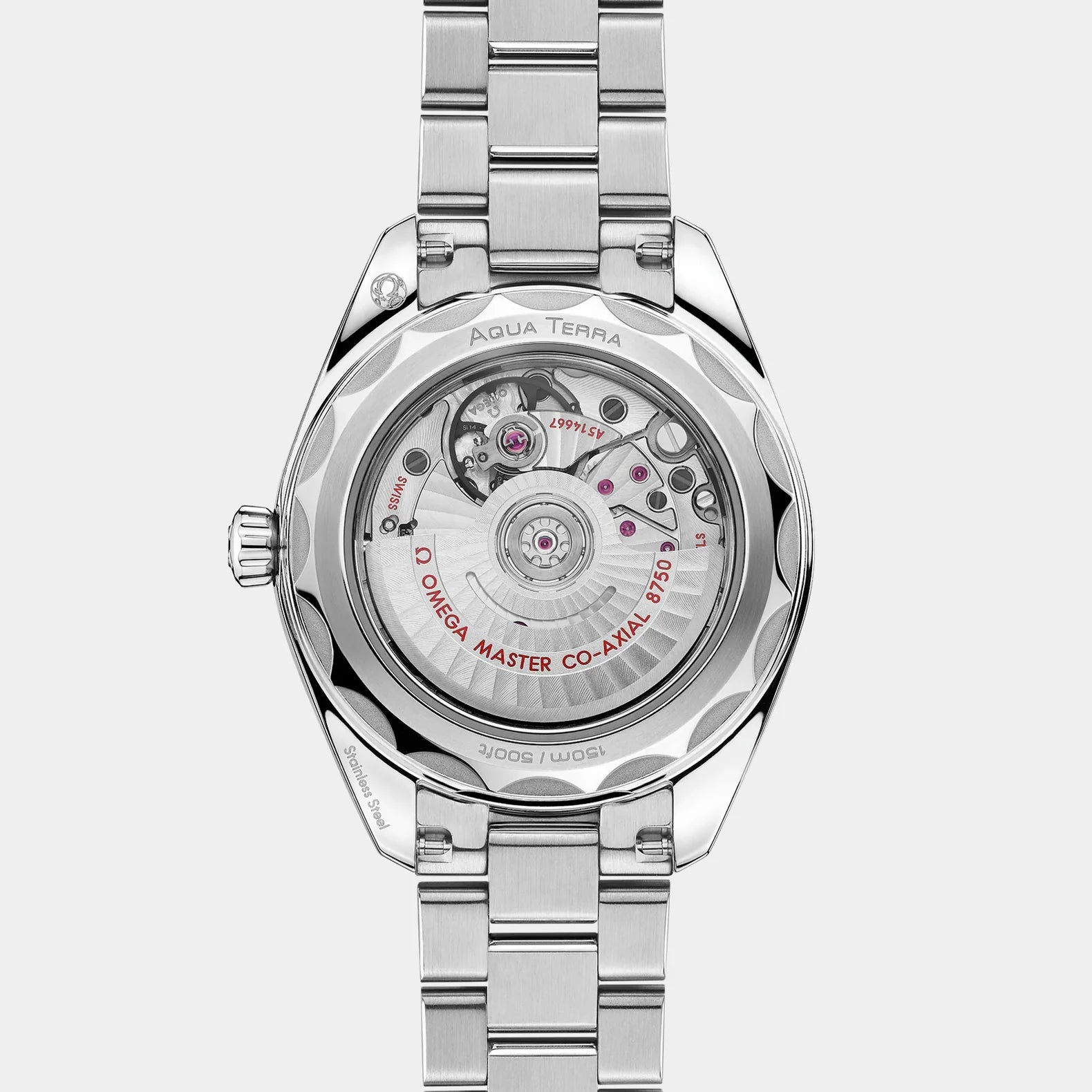 Seamaster Aqua Terra 30mm - Silver Texture Dial on Bracelet