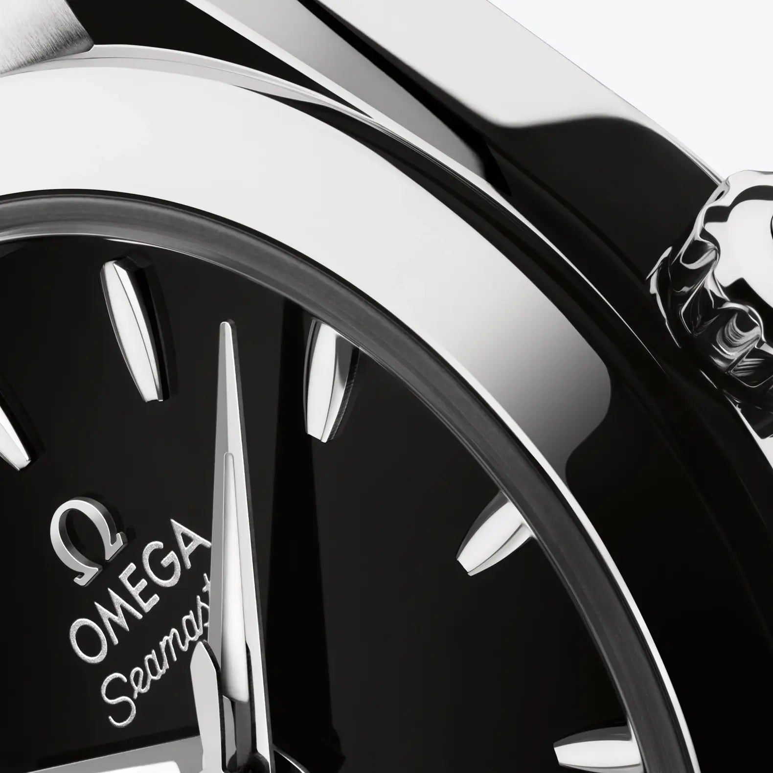 Seamaster Aqua Terra 30mm - Black Dial on Bracelet