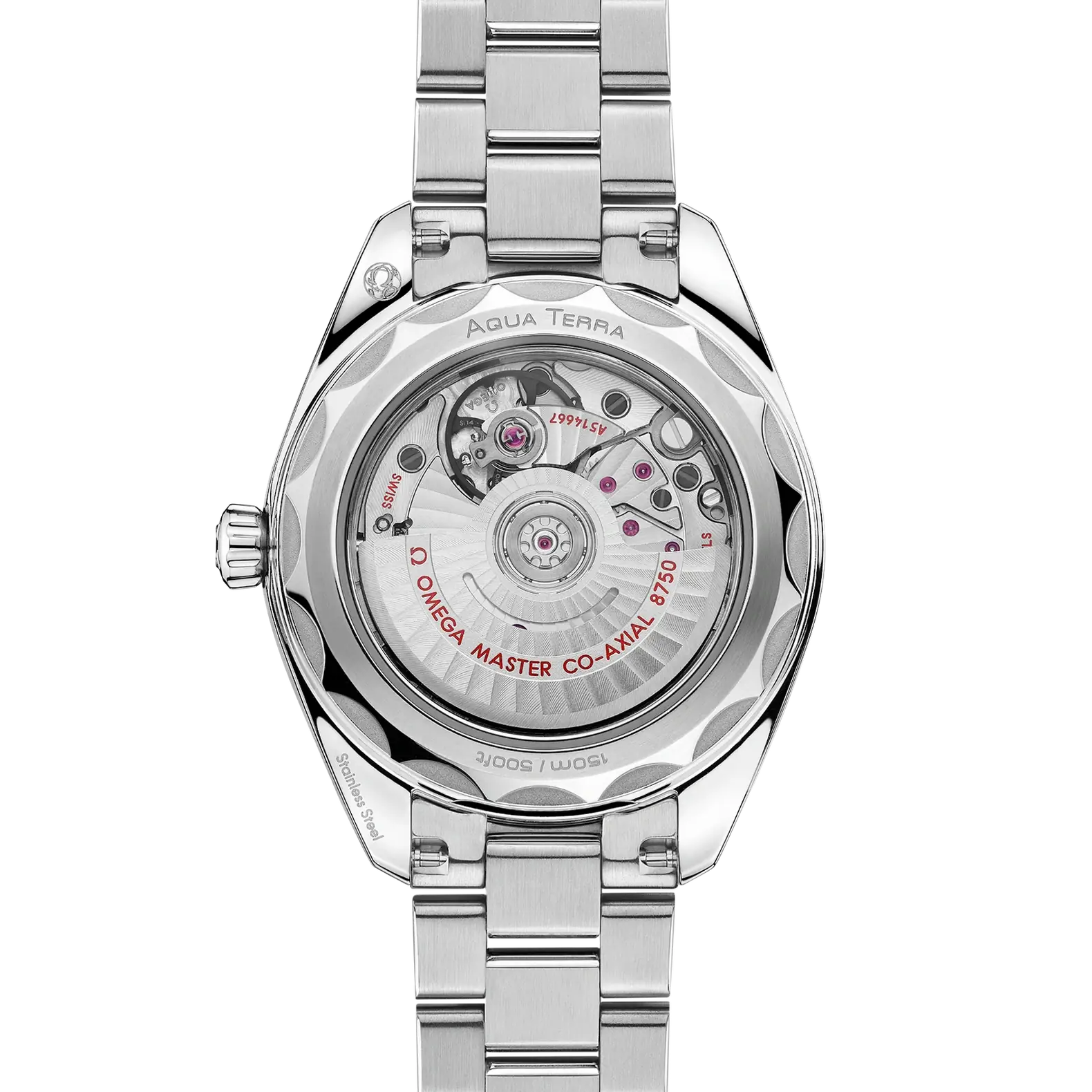 Seamaster Aqua Terra 30mm - Purple Dial on Bracelet