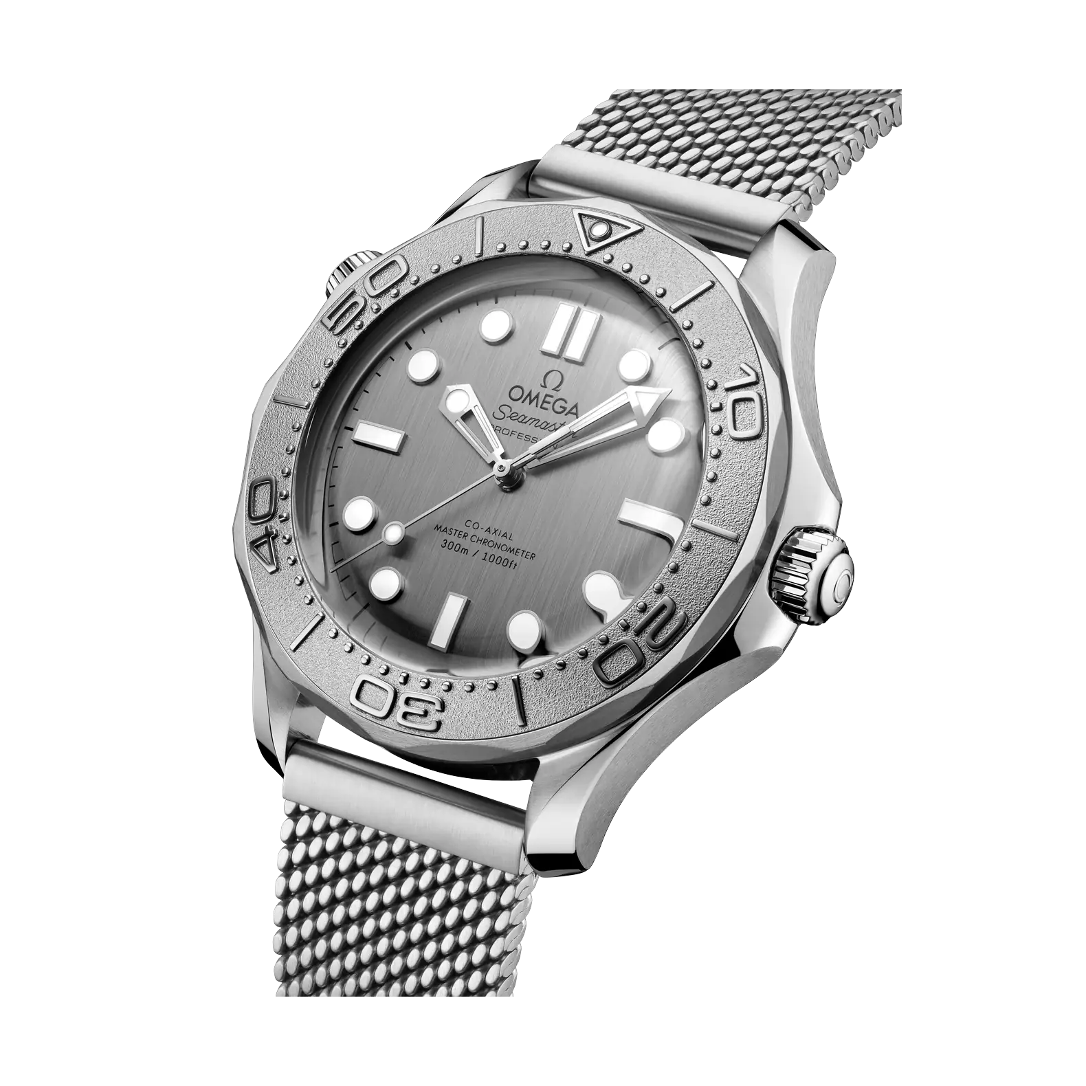 Seamaster Diver 300M - Titanium Bezel Silver Dial on Mesh Bracelet