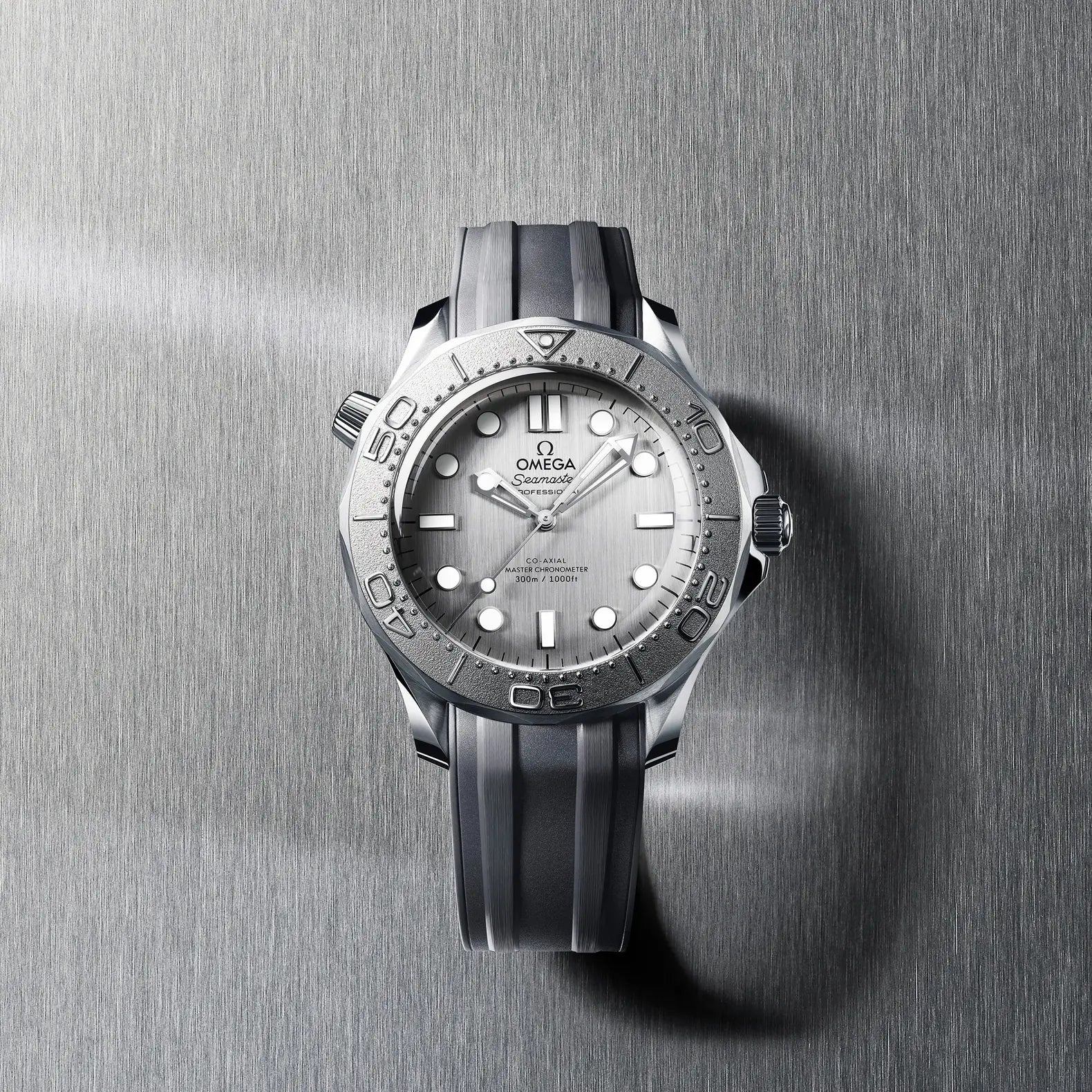 Seamaster Diver 300M - Titanium Bezel Silver Dial on Rubber Strap