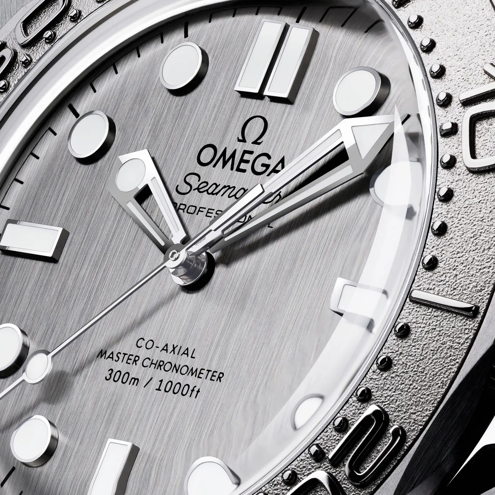 Seamaster Diver 300M - Titanium Bezel Silver Dial on Rubber Strap