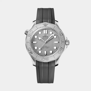 Seamaster Diver 300M - Titanium Bezel Silver Dial on Rubber Strap