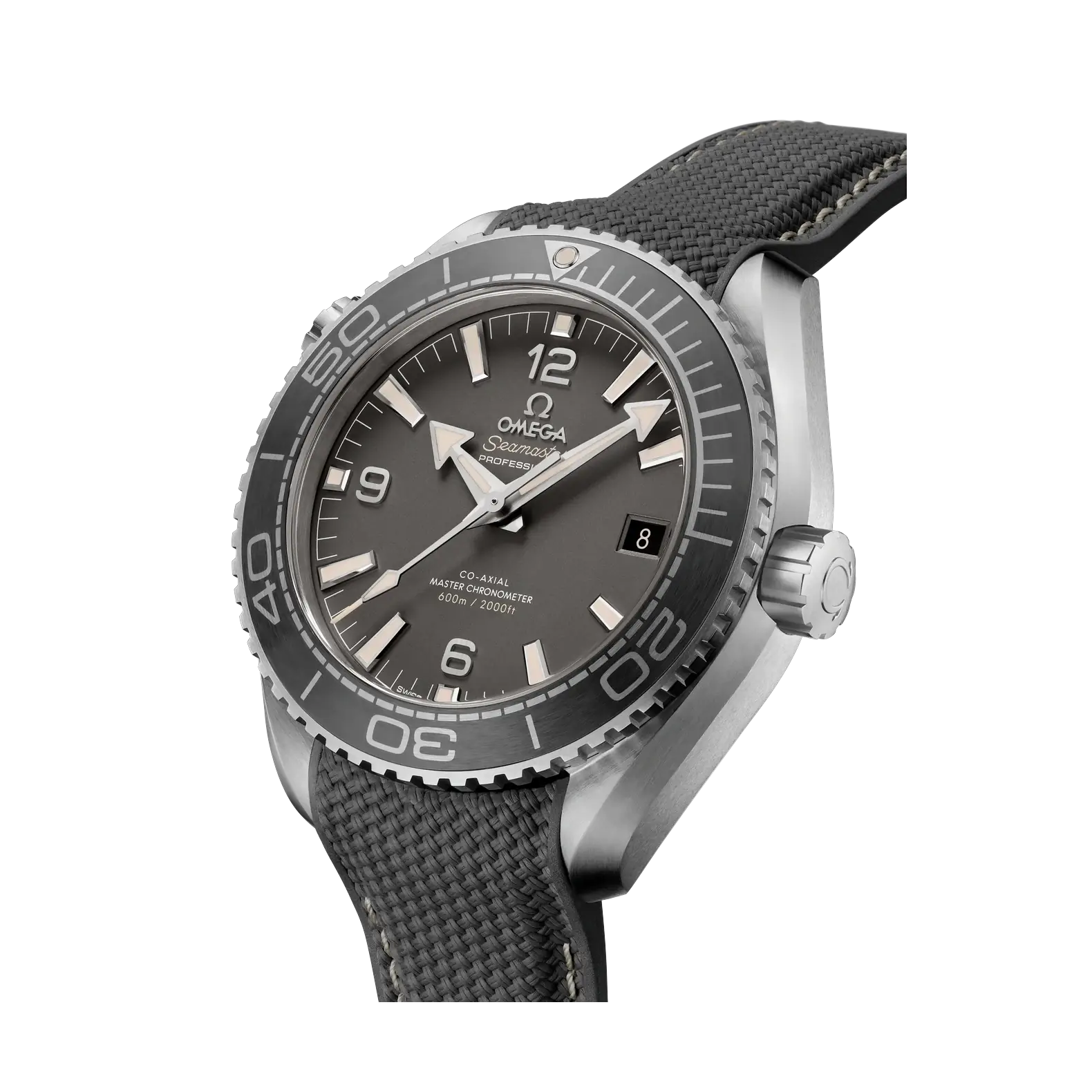 Seamaster Planet Ocean 43.5mm - Grey Dial on Rubber Strap