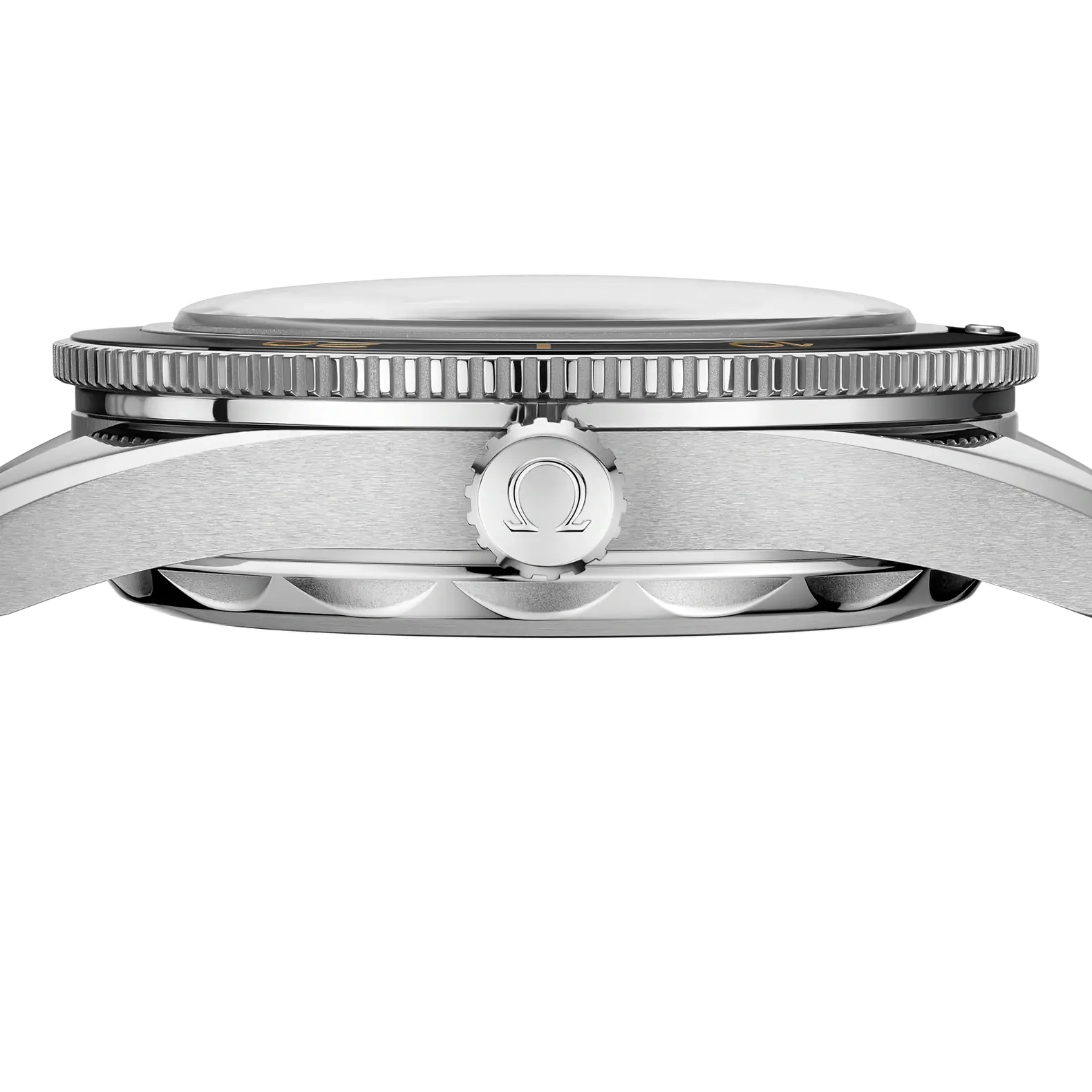 Seamaster 300 41mm - Black Dial on Strap