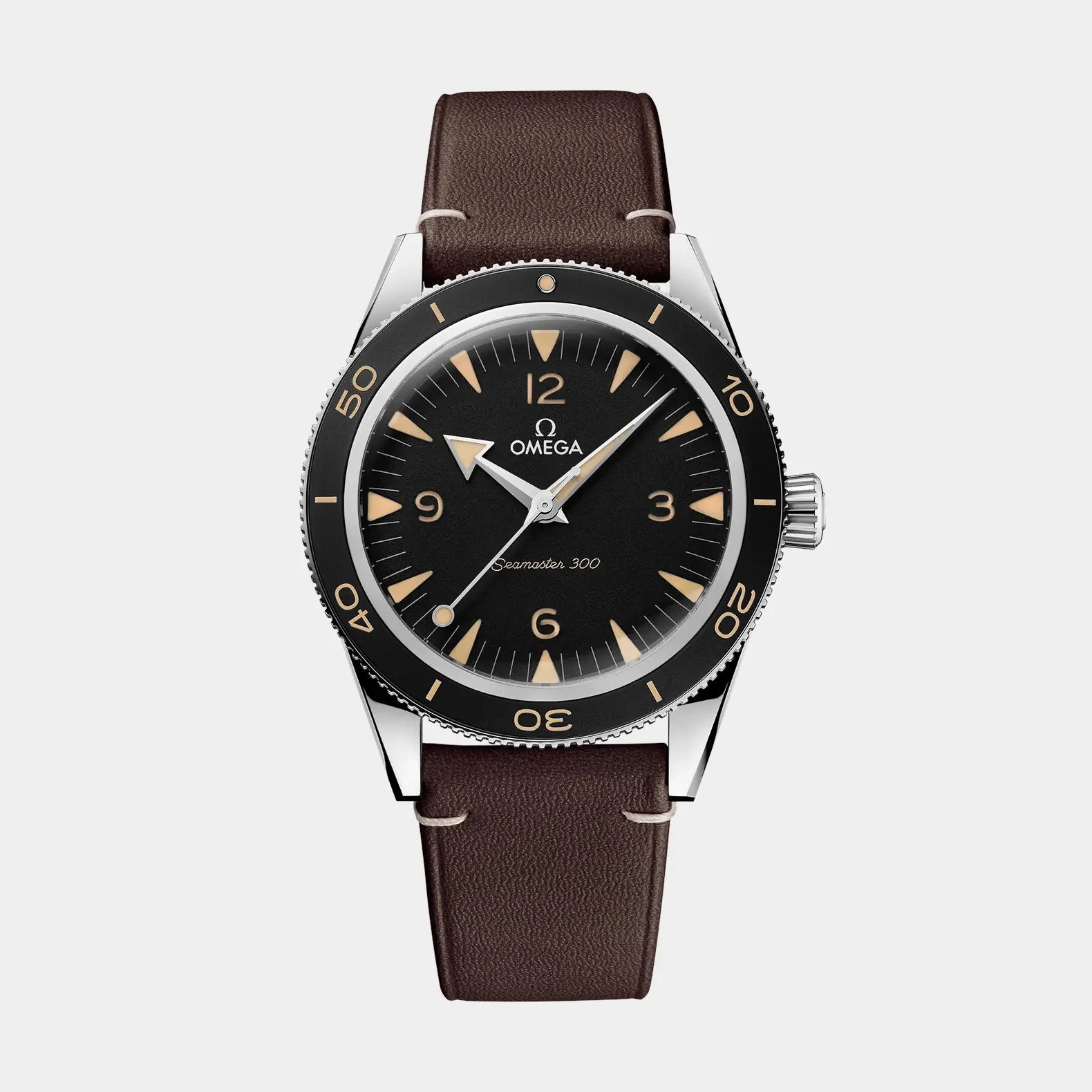 Seamaster 300 41mm - Black Dial on Strap
