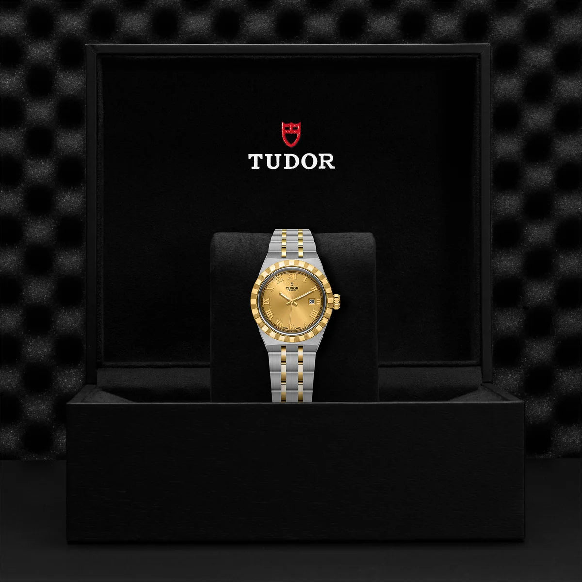 TUDOR Royal Two-Tone 28mm - Gold Dial