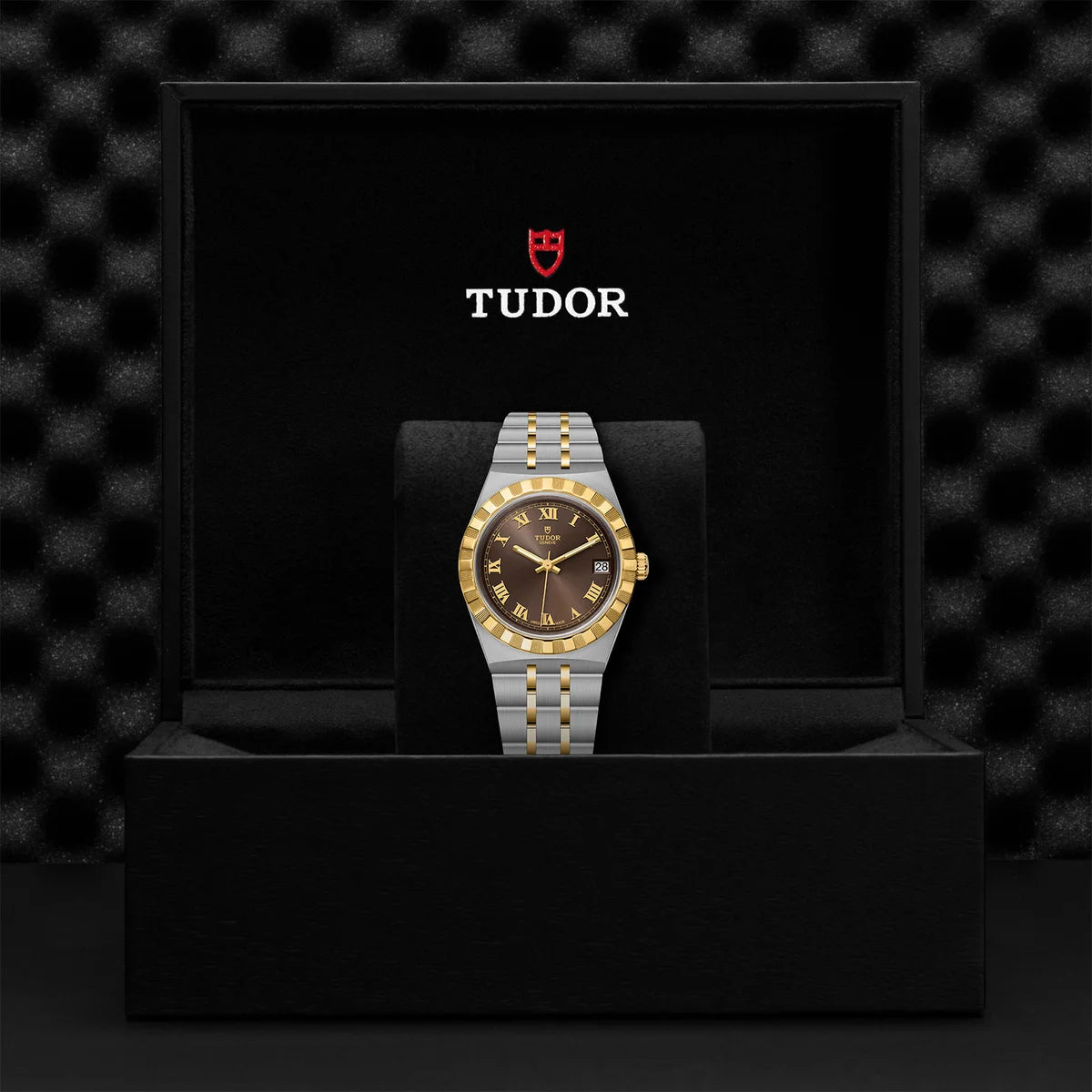 TUDOR Royal Two-Tone 34mm - Brown Dial