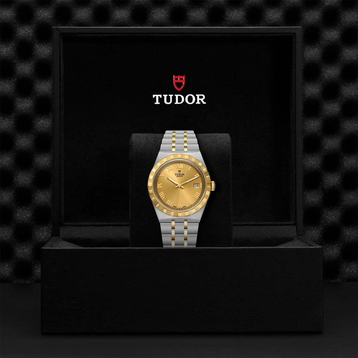 TUDOR Royal Two-Tone 38mm - Gold Dial