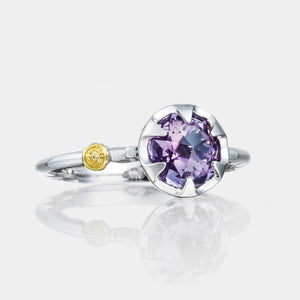 Sterling Silver and White Gold Amethyst Ring